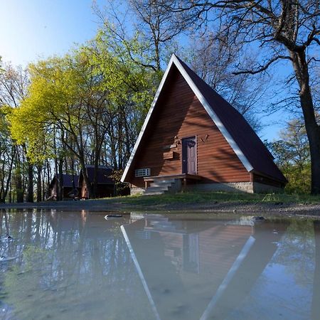 ホテルSerenity Springs - Michigan City Springfield エクステリア 写真