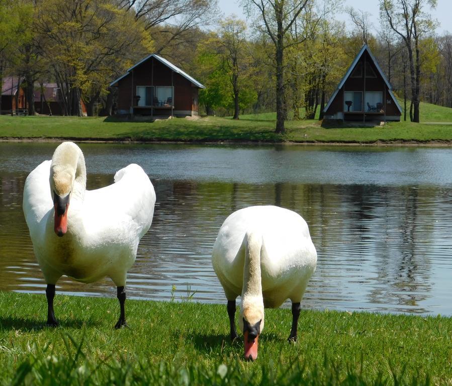 ホテルSerenity Springs - Michigan City Springfield エクステリア 写真