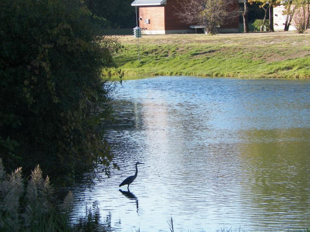 ホテルSerenity Springs - Michigan City Springfield エクステリア 写真